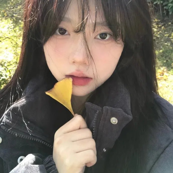 捍卫领航员
